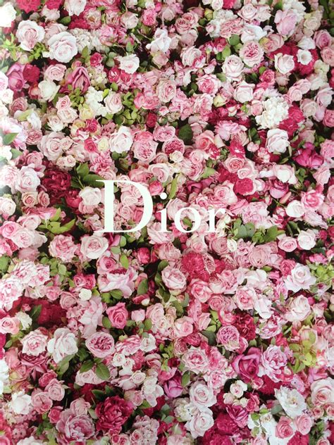 dior toujours pink|dior pink flower.